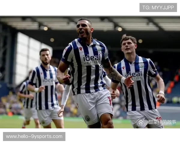 从传统劲旅到重返英超的征途：西布罗姆维奇俱乐部新篇章